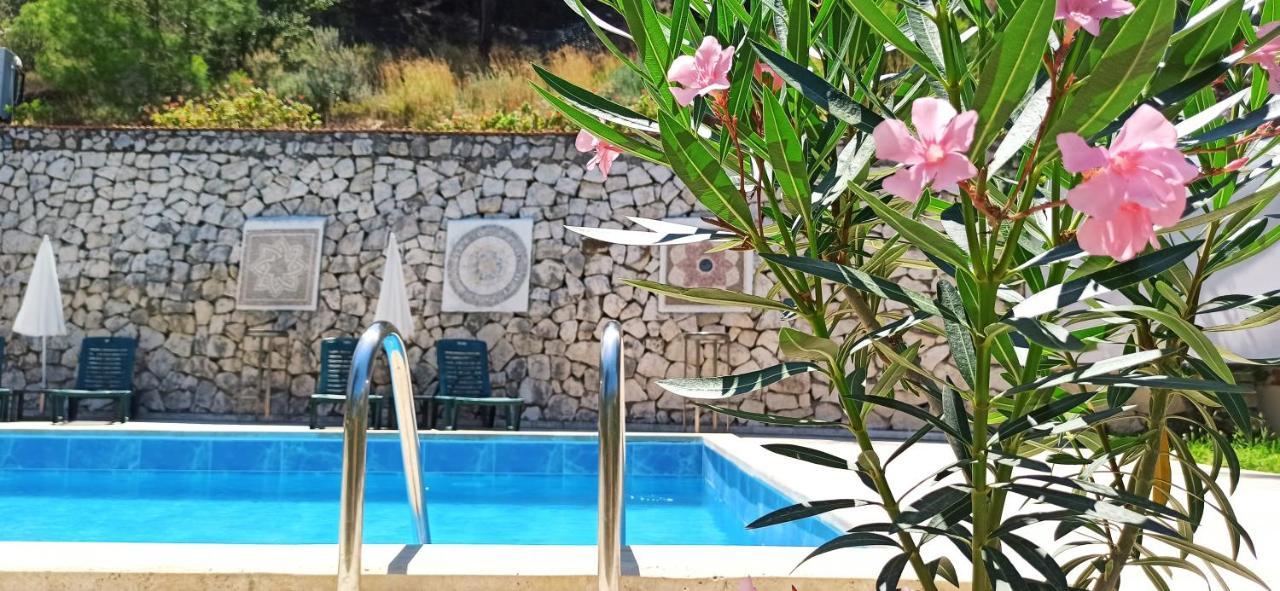 Swiss Eviniz Hotel (Adults Only) أدراسان المظهر الخارجي الصورة