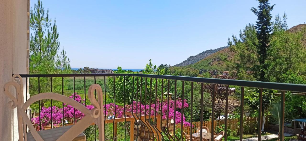 Swiss Eviniz Hotel (Adults Only) أدراسان المظهر الخارجي الصورة