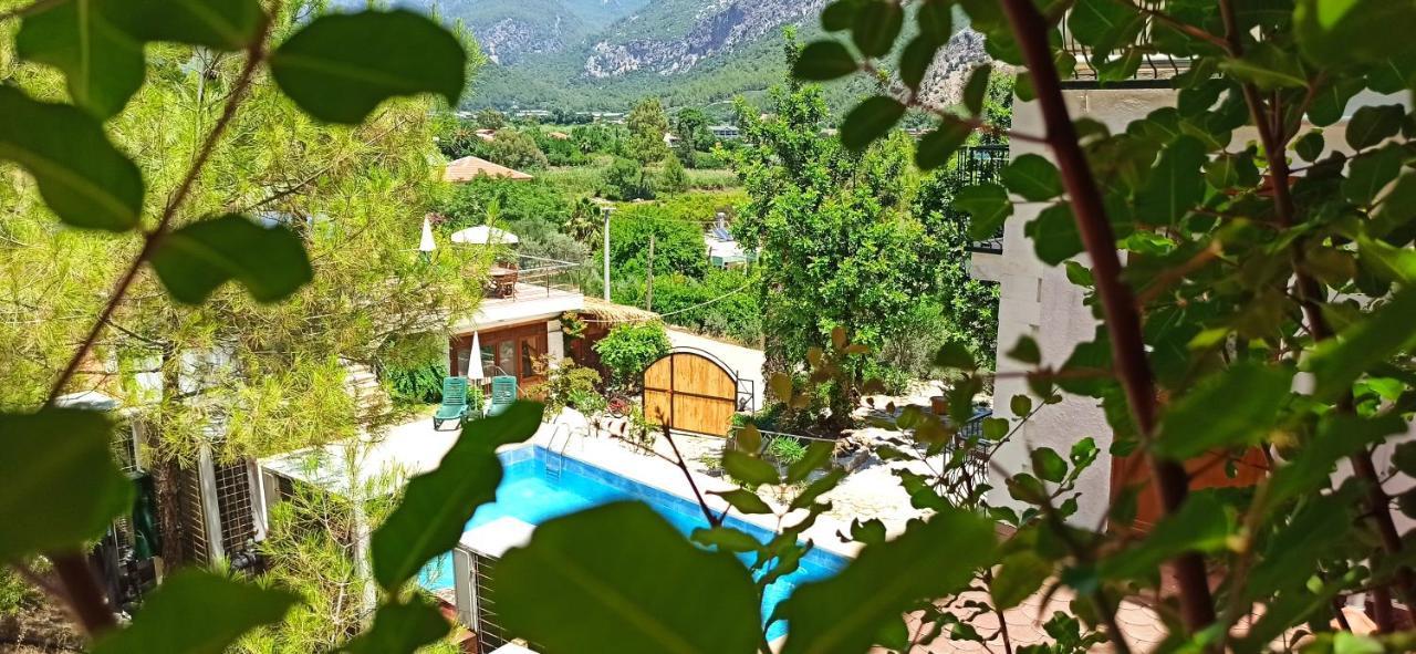 Swiss Eviniz Hotel (Adults Only) أدراسان المظهر الخارجي الصورة